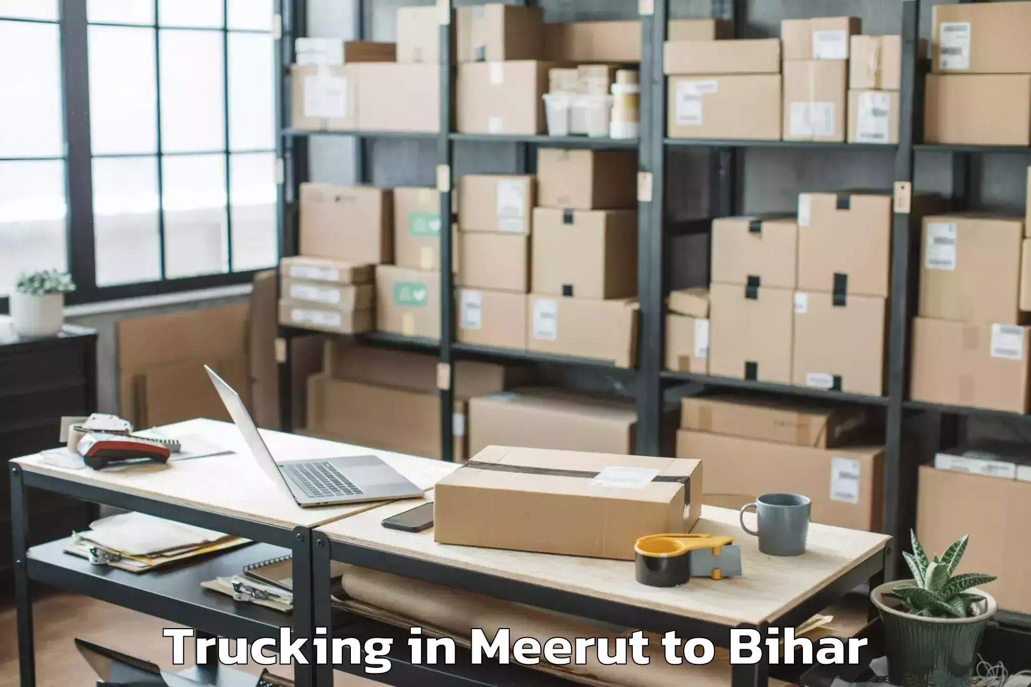 Affordable Meerut to Teghra Trucking